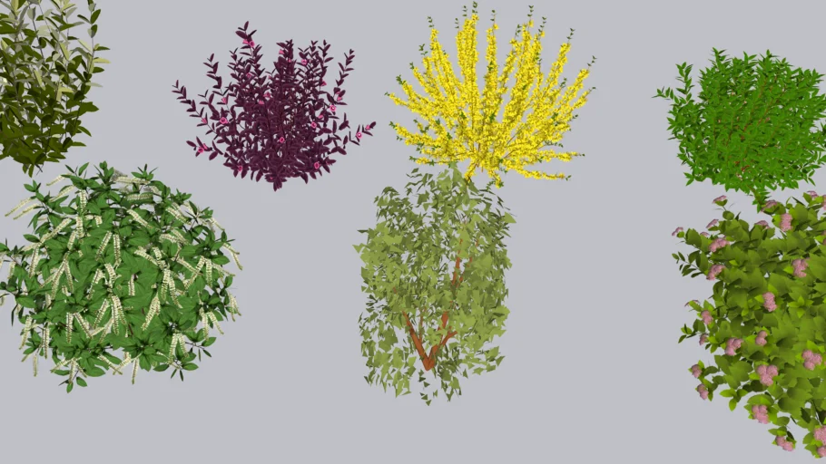 Shrubs