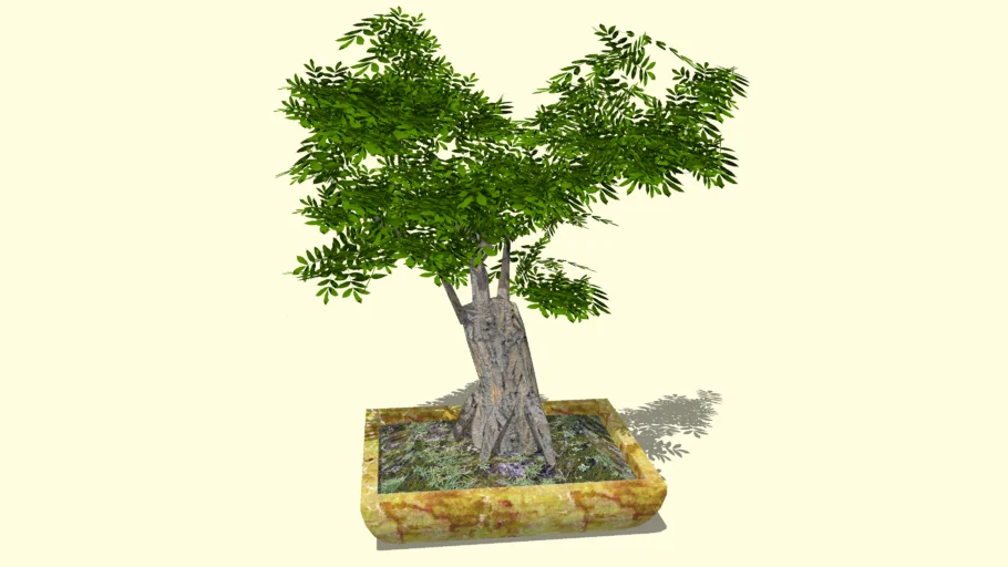 CÂY XANH