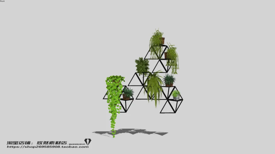 Indoor Plant（02）
