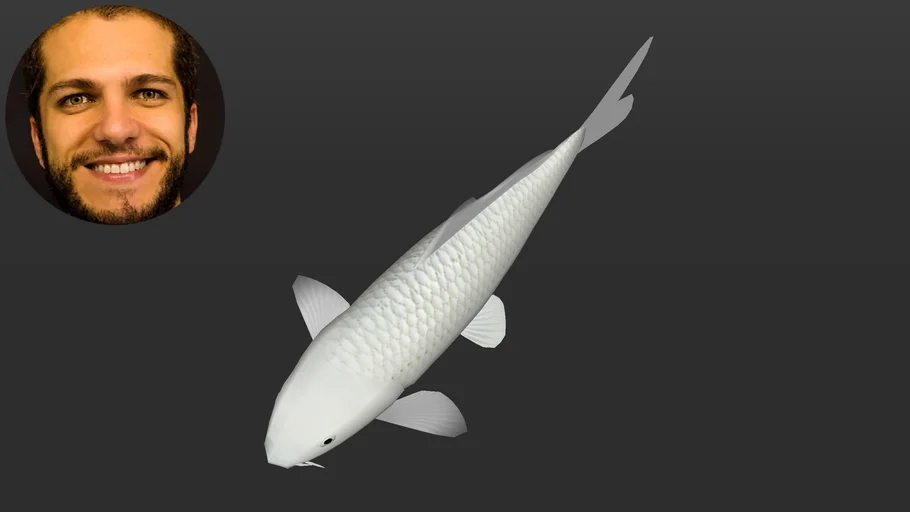 Carpa Koi Platinum Ogon - Nishikigoi - Curso Desenho de Lagos com SketchUp