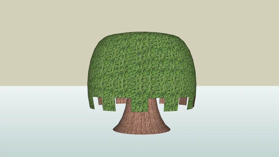 willow tree