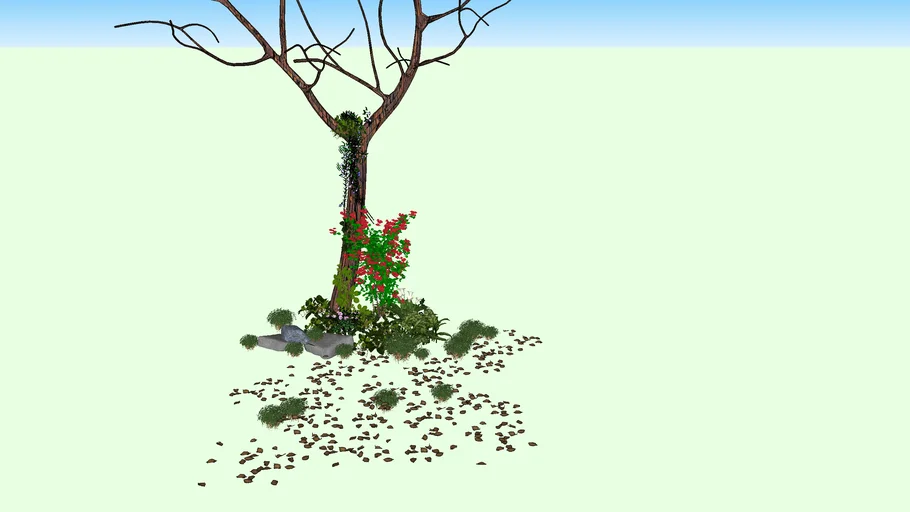 Arbol seco