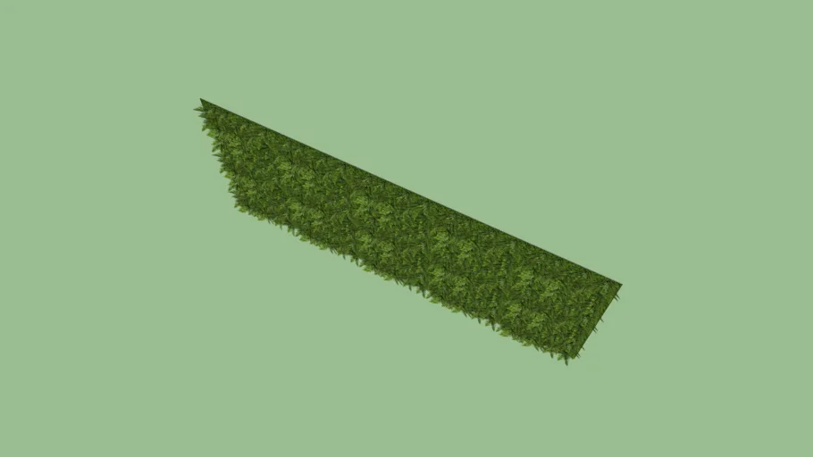 PAREDE VERDE