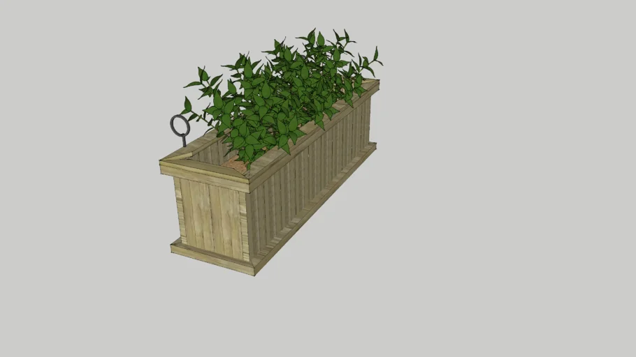 balcony plant