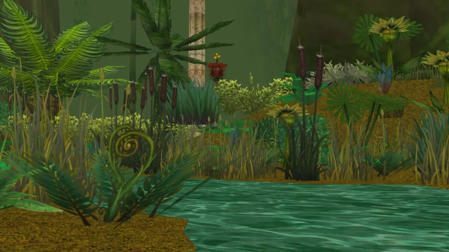 rainforest scenery