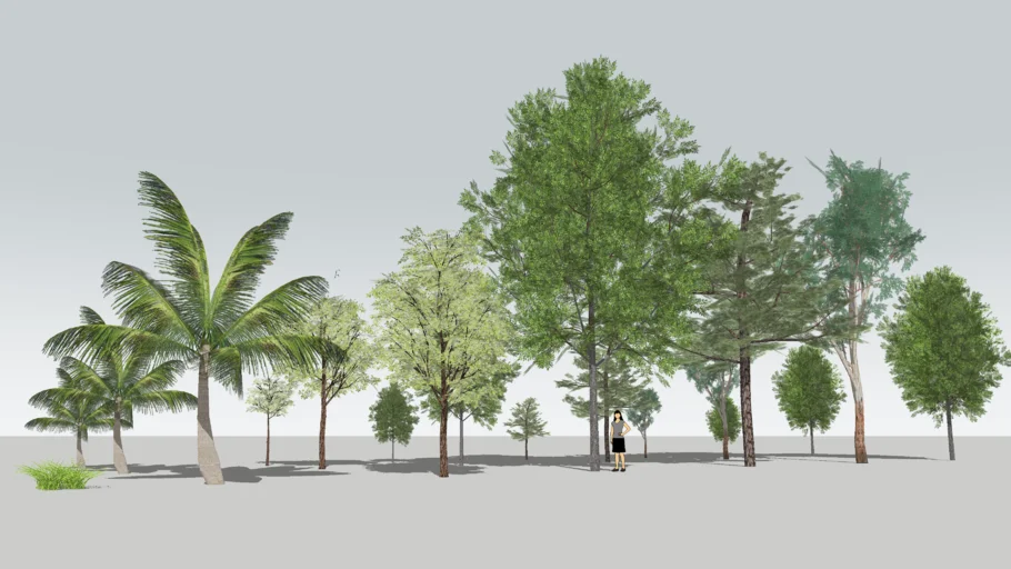 Trees