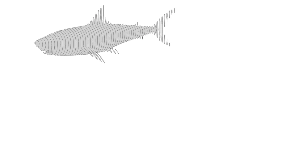 Shark in Layers