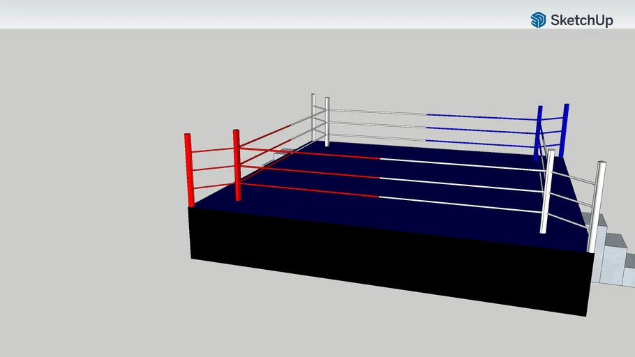 BOXING RING