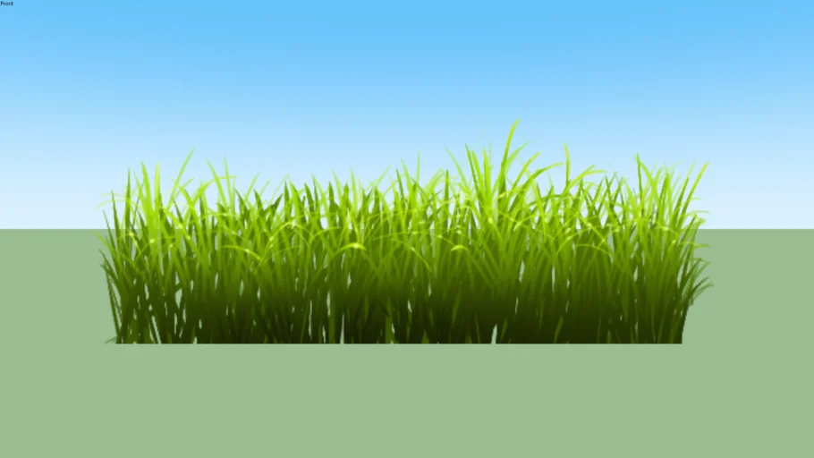 grass01