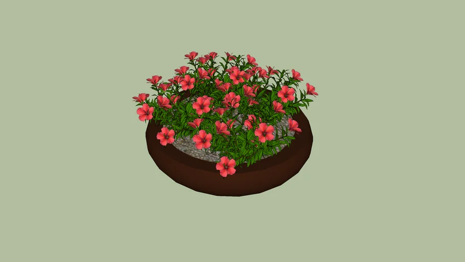 VASO COM HIBISCOS