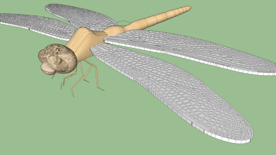 Dragonfly Wooden