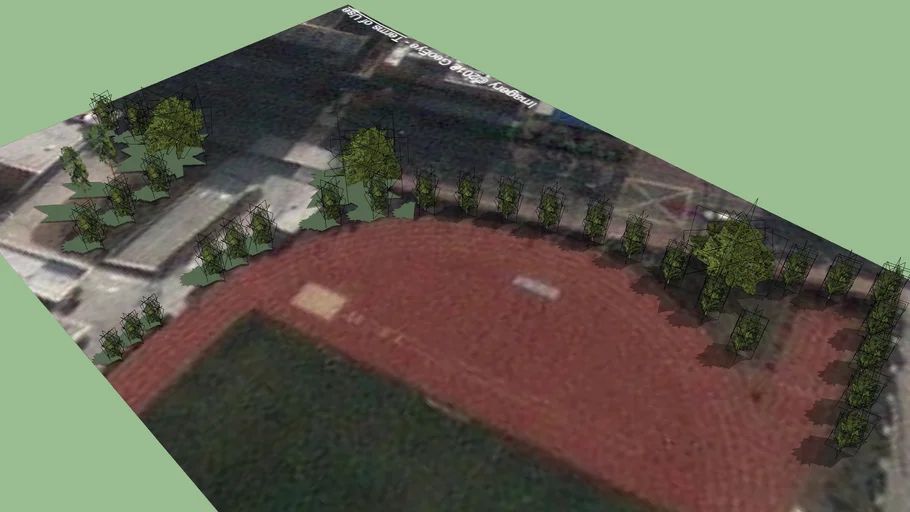 南模中學－樹02 Trees of Nanmo High School