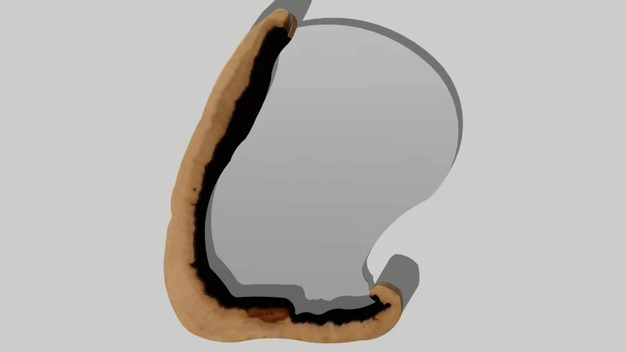 Living Edge Mirror