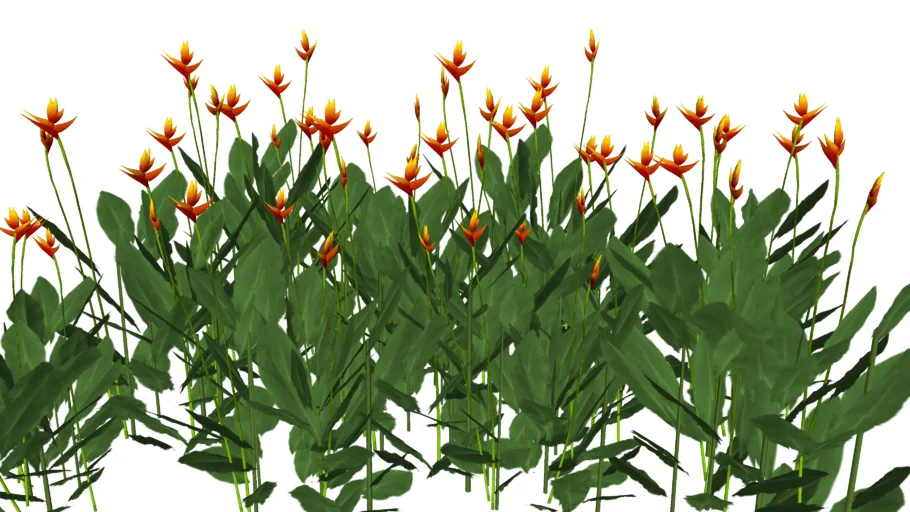 Arbusto Flores