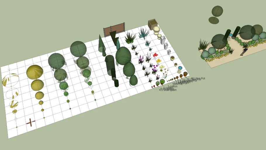 Plant shapes & sizes