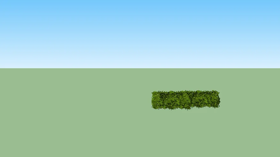 Green Hedge
