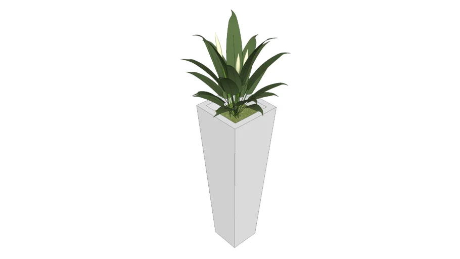 PLANT 4