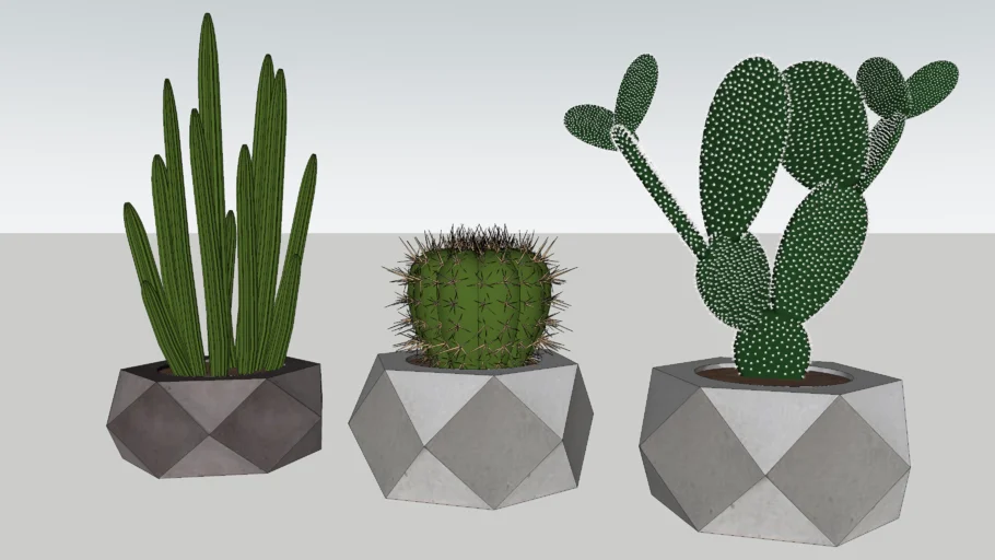 deco cactos