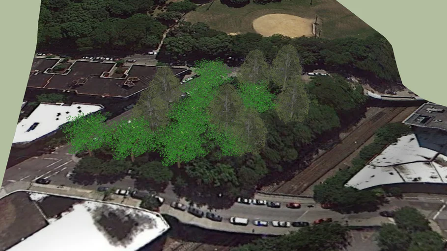 Trees Near Franz Sigel Park