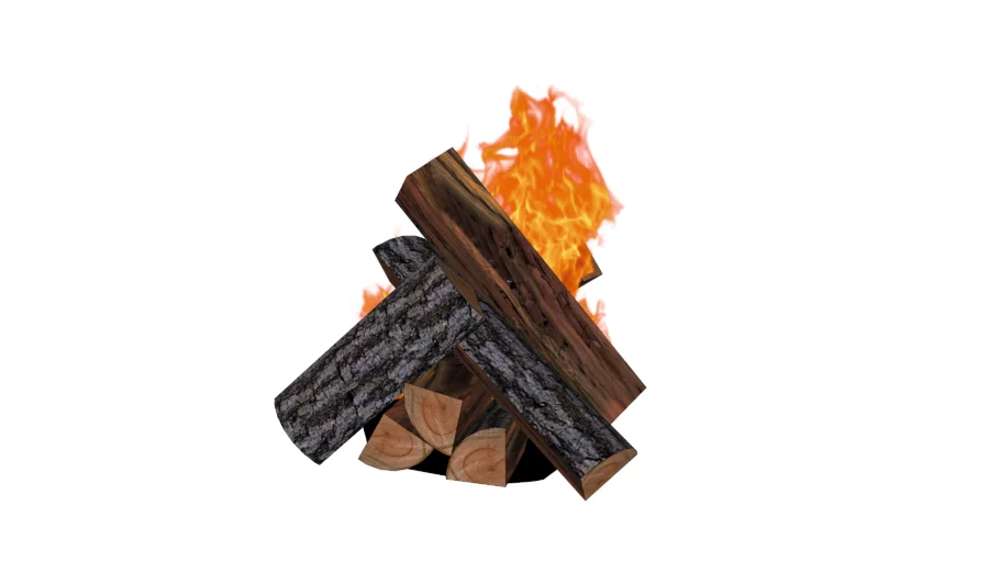 Wood Logs for Fireplace
