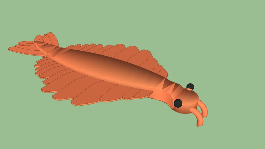 Anomalocaris canadensis