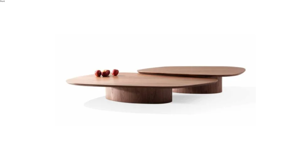 MESA DE CENTRO ORGANICA