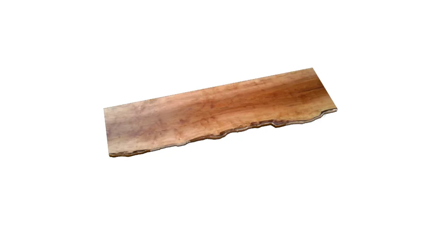 Tree trunk shelf  - boomstam plank