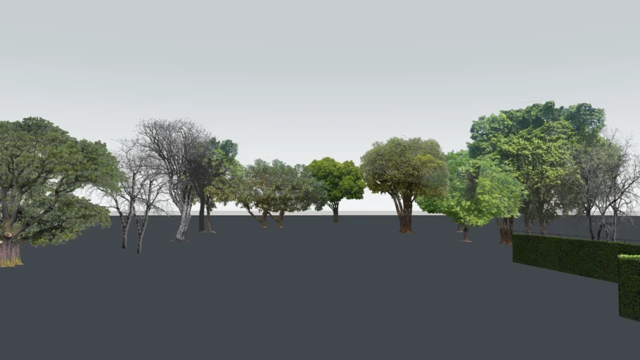 [2D] TREE