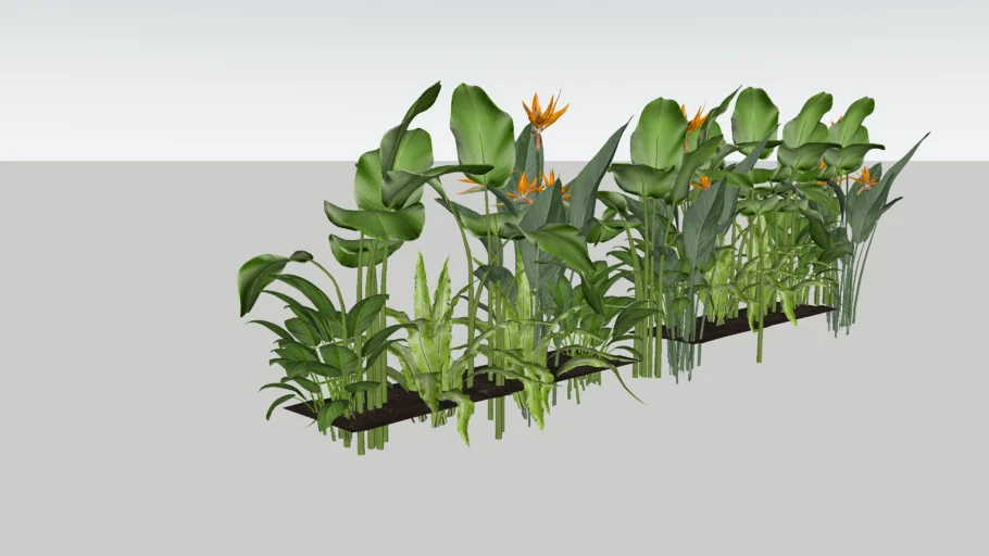 plants #ADS