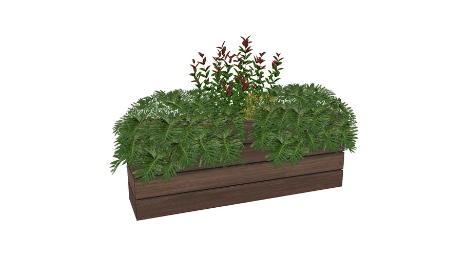 Rain Garden - Gardenbed