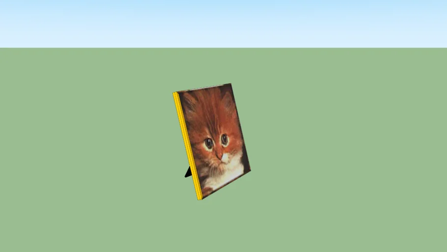 Picture frame