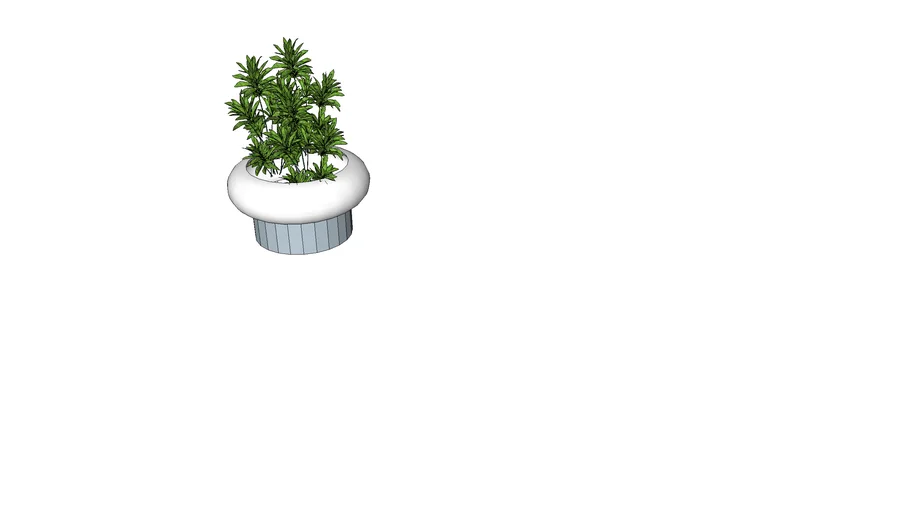 Mini vase with Indoor plant