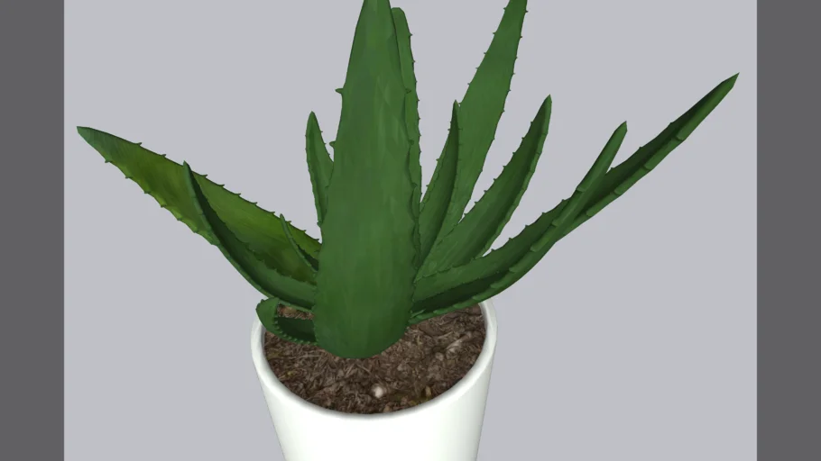 Table plant