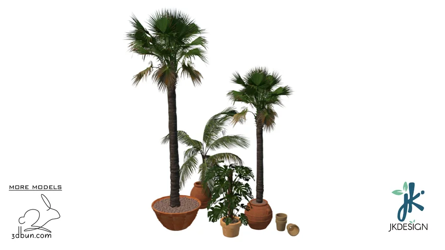 3dbun.com - Palms