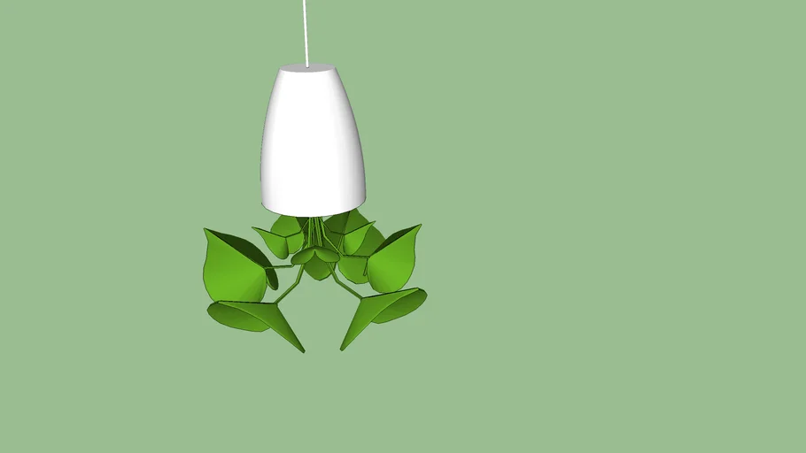 Hanging plant