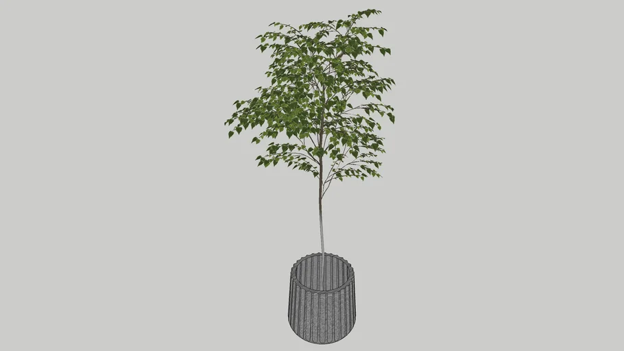 eddys zooview 3d tree | 3D Warehouse