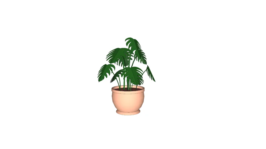 Tanaman Pot
