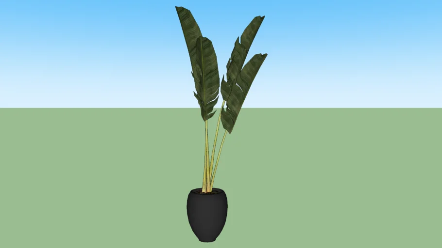 005 Tree Pot