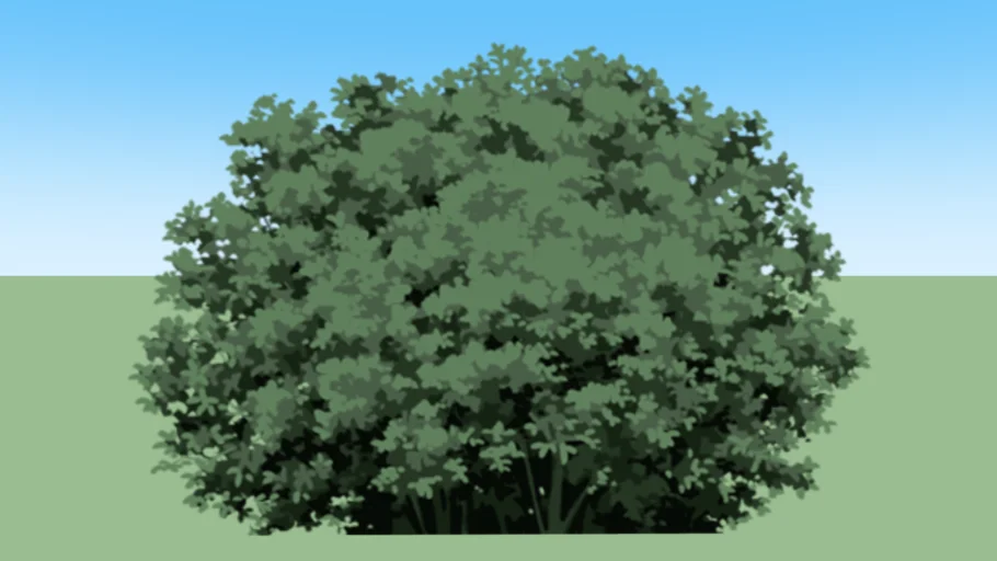 shrubbery04f-c