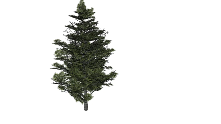 Smart pine