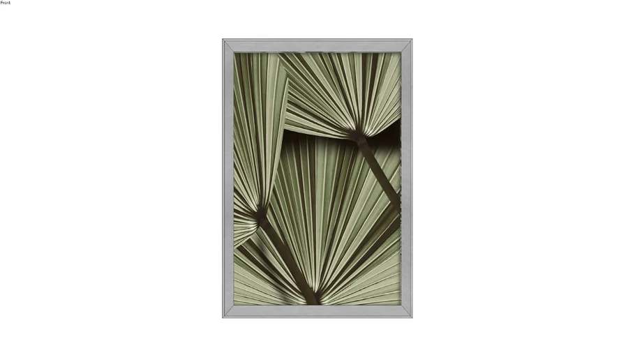 Quadro folha verde oliva II