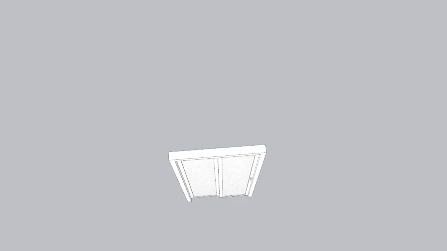 Slide and Swing Door