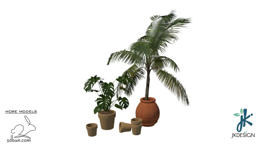 3dbun.com - Monstera and Palm