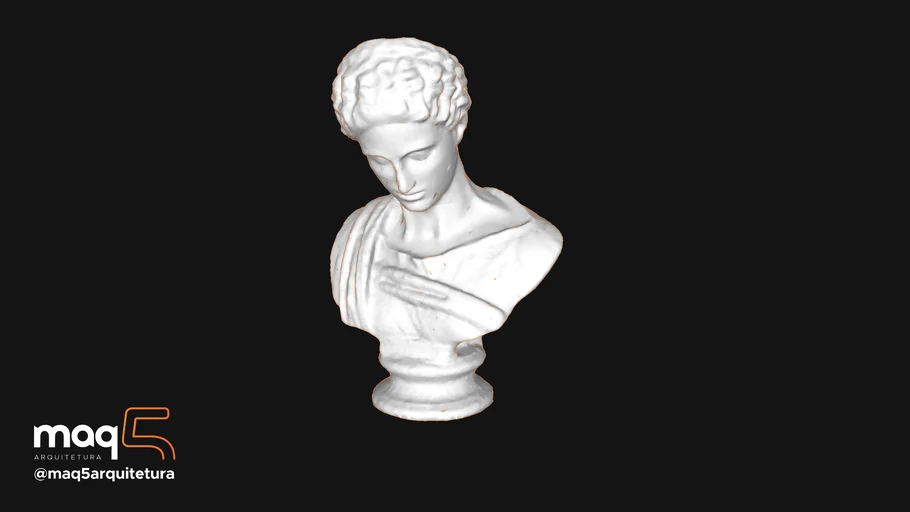 Busto Feminino