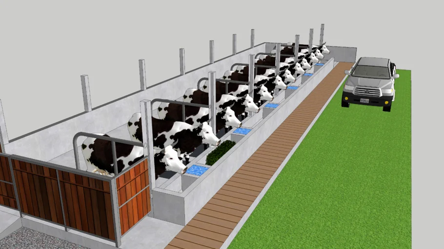 Kandang Sapi Perah