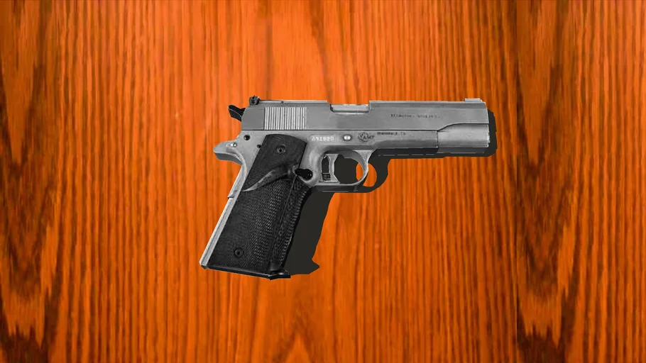 Gun