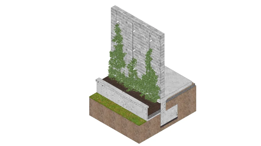 Green Facade with Climbing Plants (Fachada Vegetal Liviana)