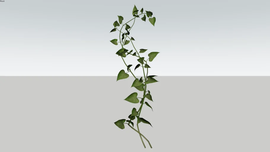 VINES (13)