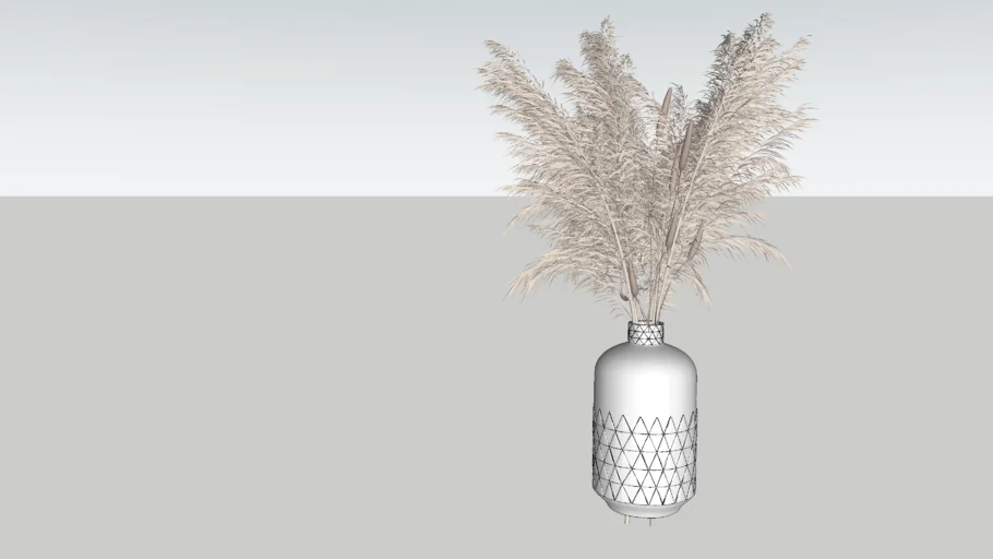 Pampas Grass