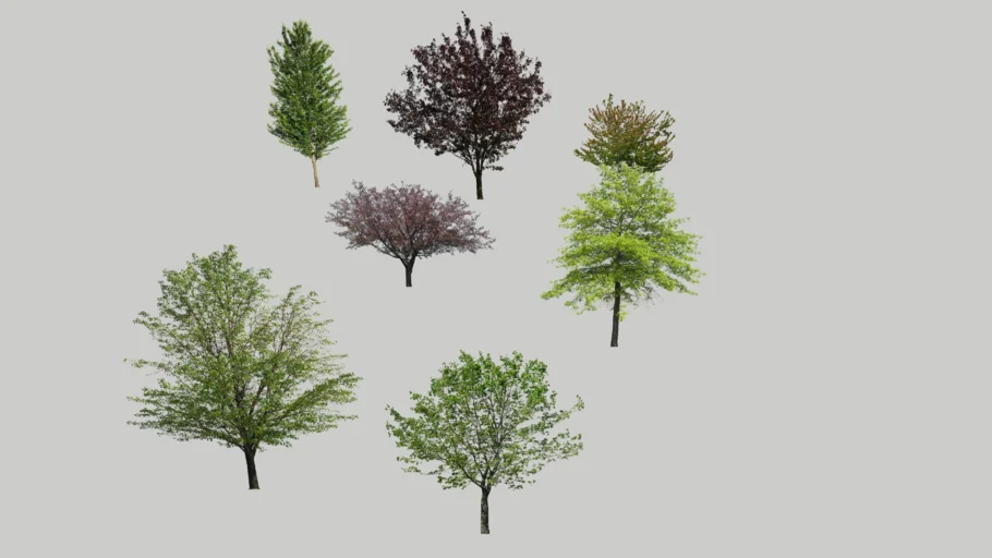 TRÄD, TREE, ARBOL 1